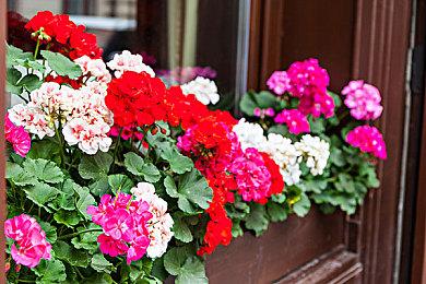 科隆：《刺客信条：幻景》新动作预告聚焦巴格达城